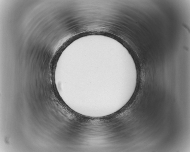 X0000103501022200810101042