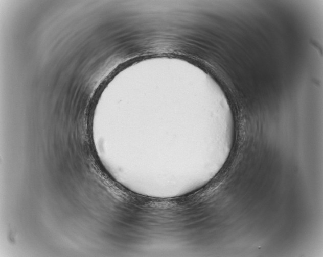 X0000103501023200810101042