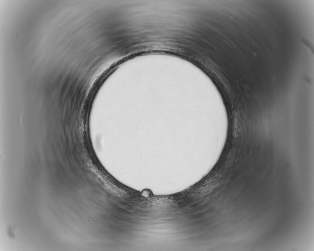 X0000103501024200810101042