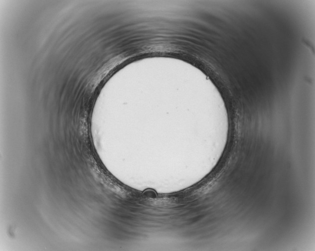 X0000103501025200810101042