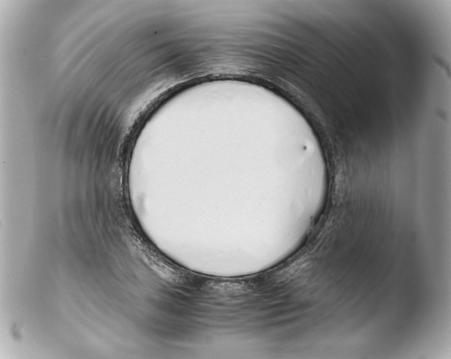 X0000103501027200810101042