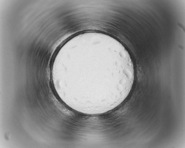 X0000103501028200810101042