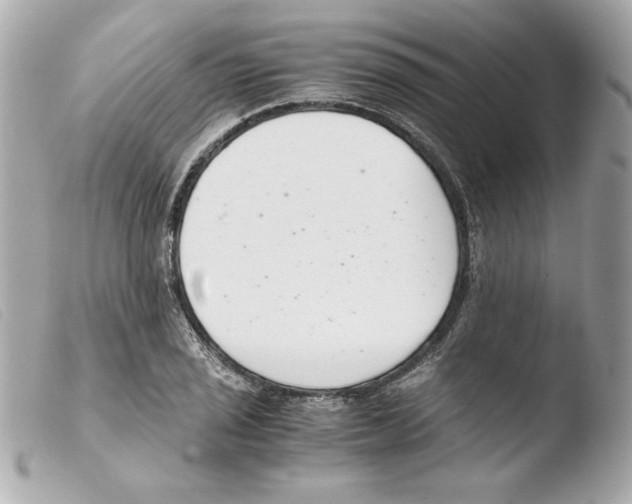 X0000103501029200810101042