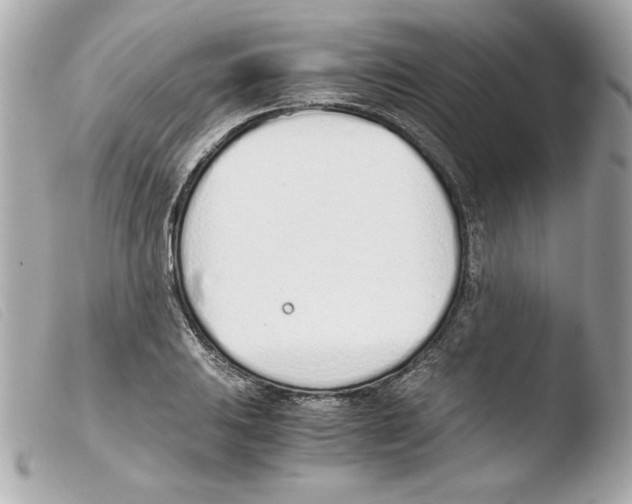 X0000103501031200810101042