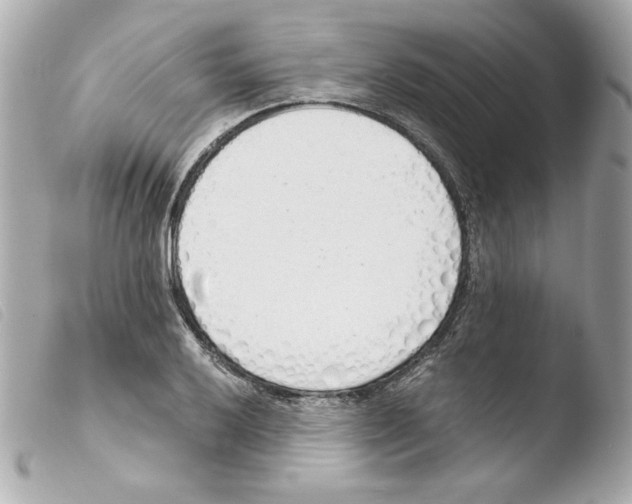 X0000103501032200810101042