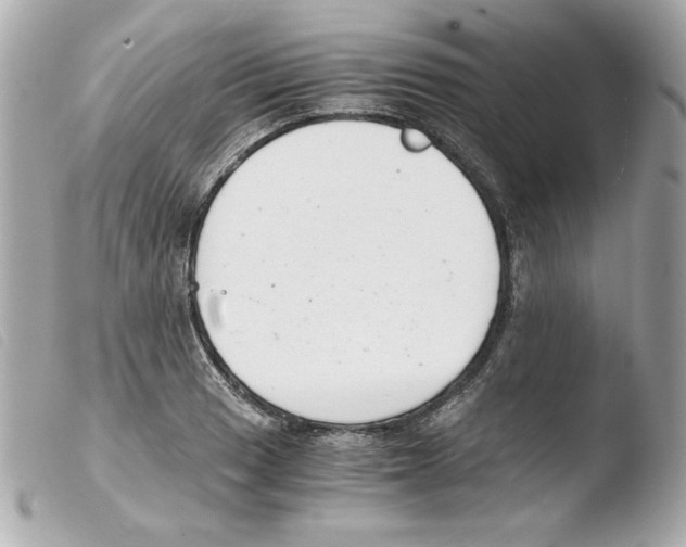 X0000103501033200810101042