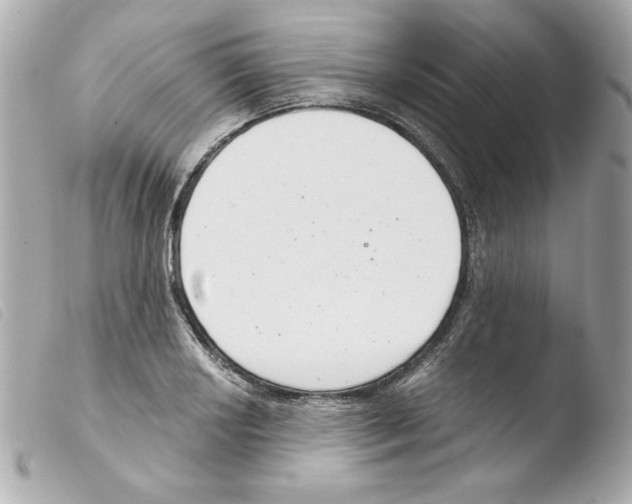 X0000103501034200810101042