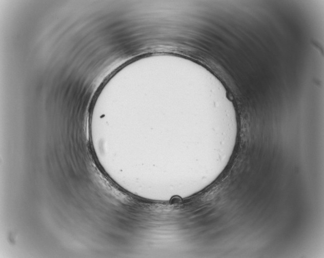 X0000103501036200810101042