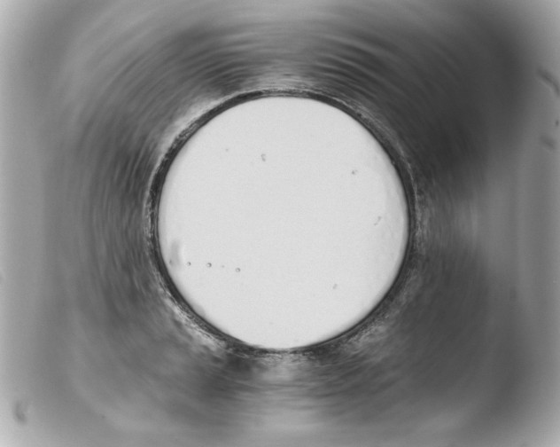 X0000103501037200810101042