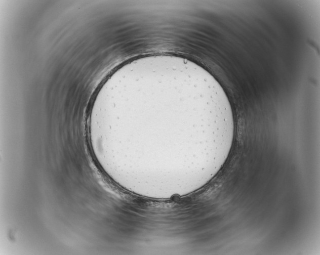 X0000103501039200810101042