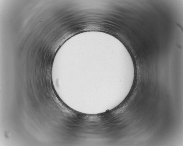 X0000103501041200810101042