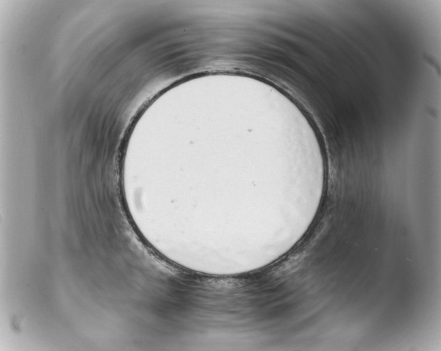 X0000103501045200810101042