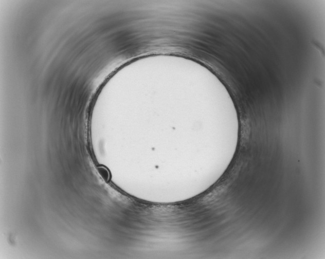 X0000103501046200810101042