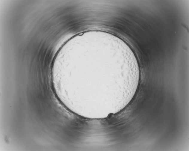 X0000103501048200810101042