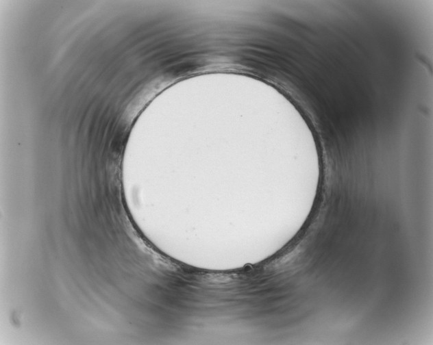 X0000103501049200810101042