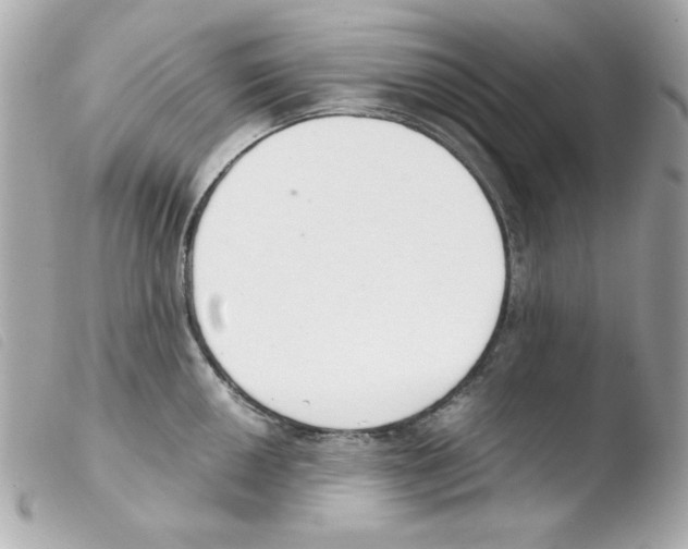 X0000103501050200810101042