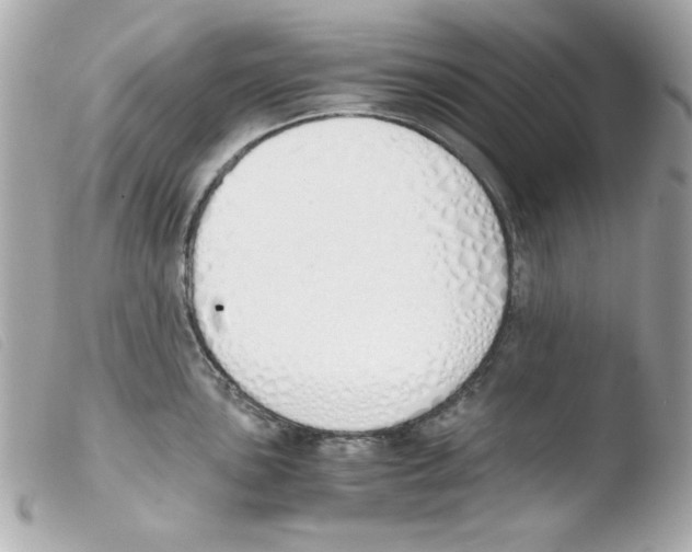 X0000103501051200810101042