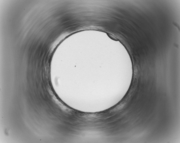 X0000103501054200810101042