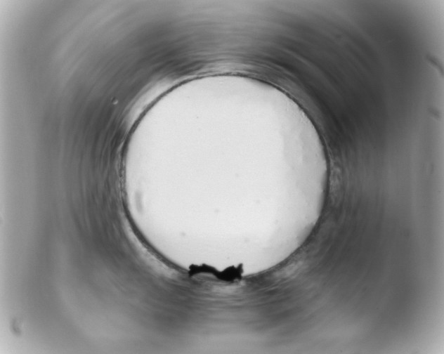 X0000103501055200810101042