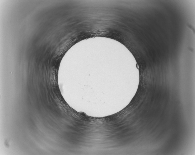 X0000103501058200810101041