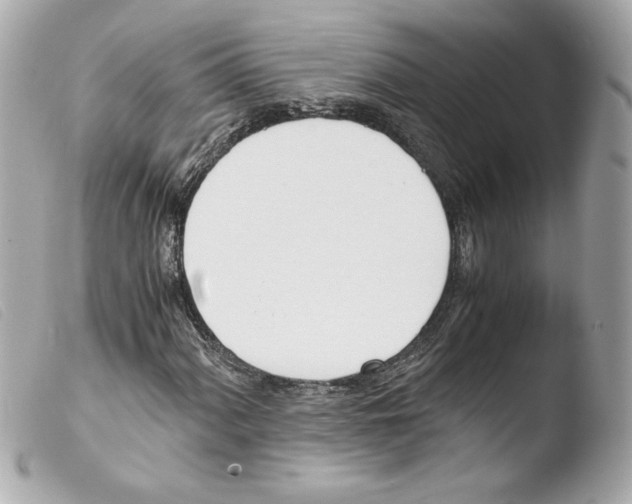 X0000103501060200810101041