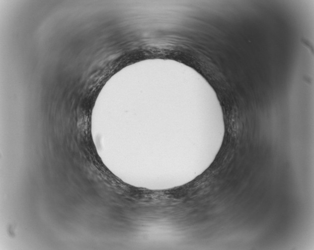 X0000103501061200810101041