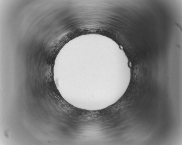 X0000103501062200810101041