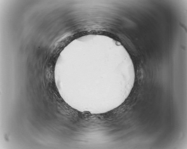 X0000103501063200810101041