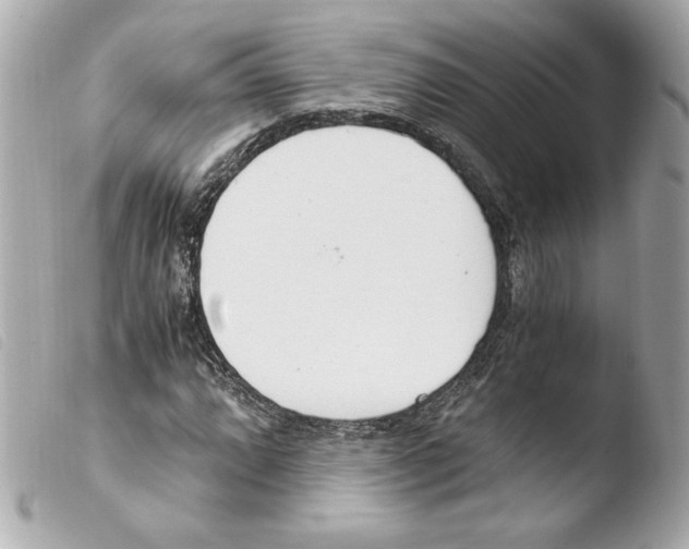 X0000103501064200810101041