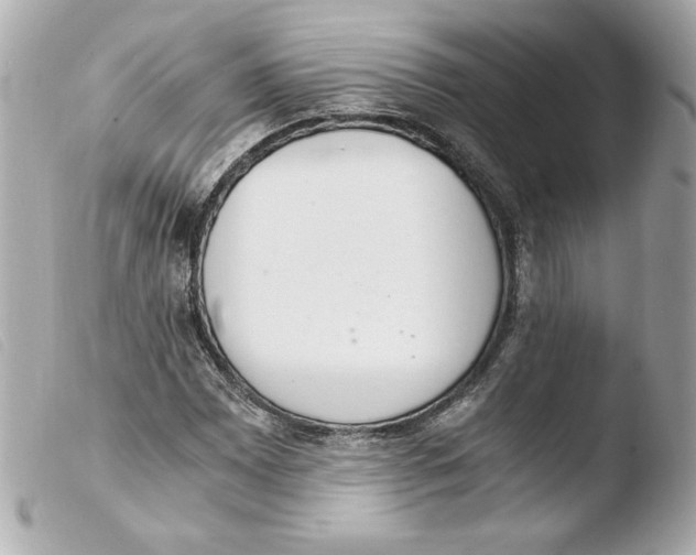 X0000103501065200810101041