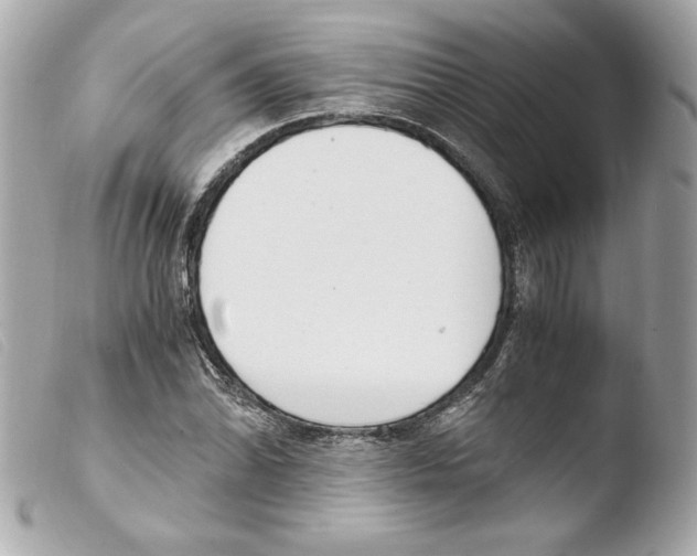 X0000103501070200810101041