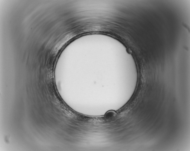 X0000103501073200810101041