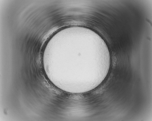 X0000103501074200810101041