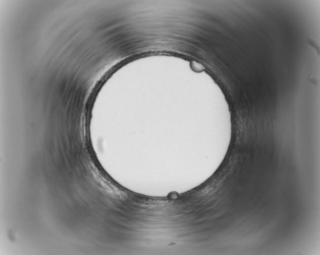 X0000103501076200810101041