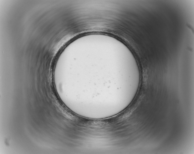 X0000103501077200810101041