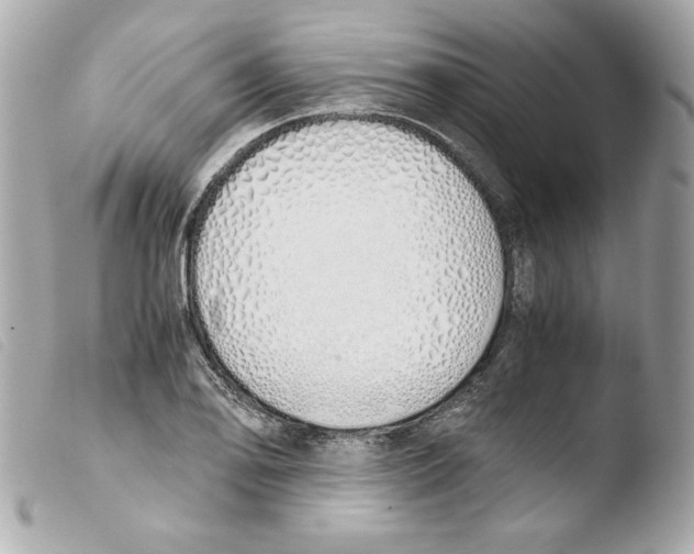 X0000103501078200810101041