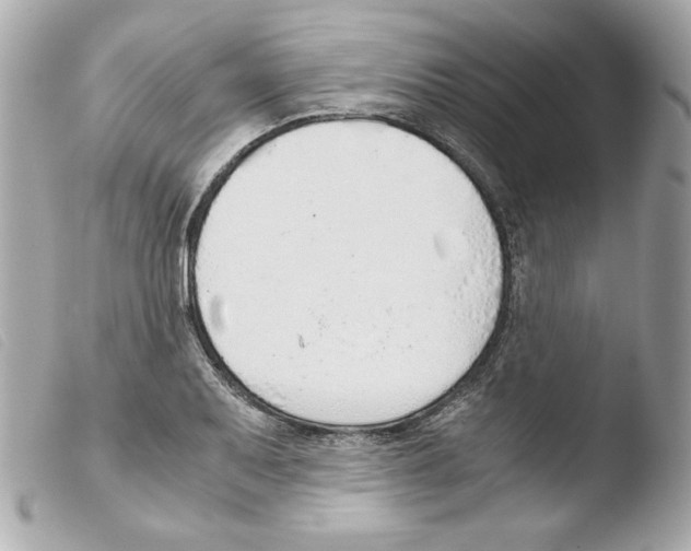 X0000103501079200810101041