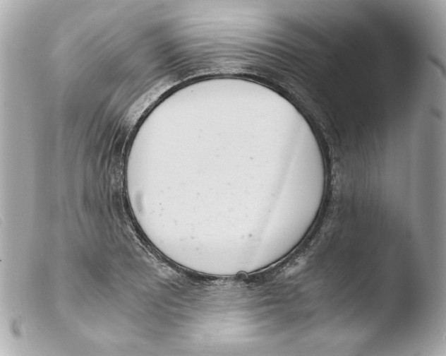 X0000103501081200810101041