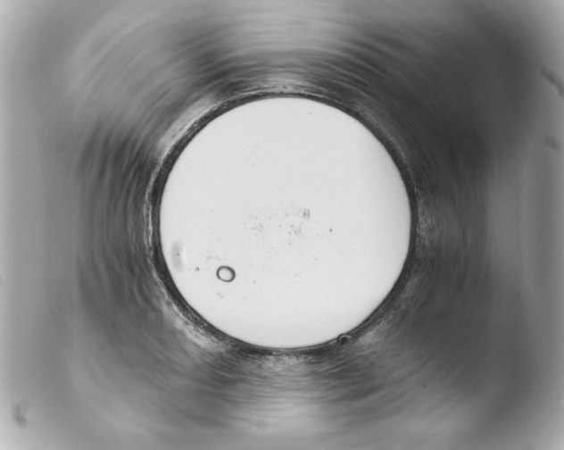 X0000103501082200810101041