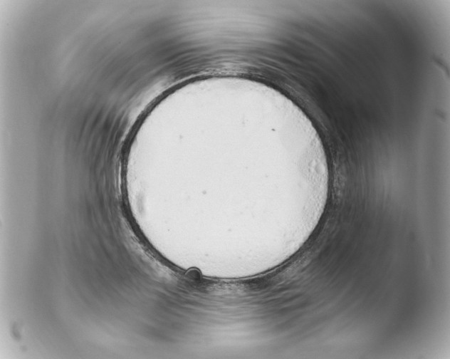 X0000103501083200810101041