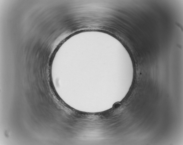 X0000103501085200810101041