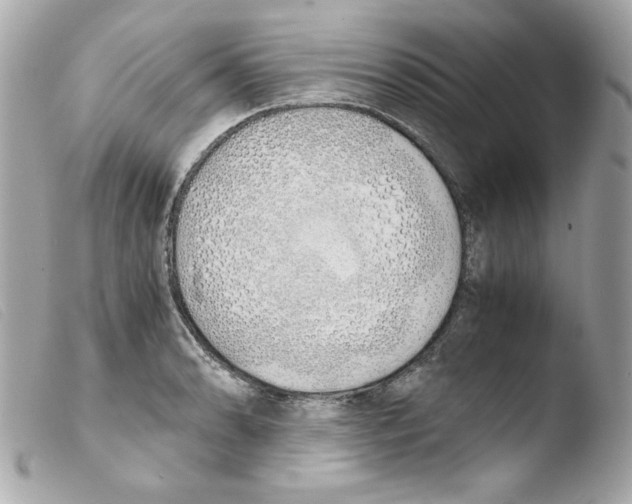 X0000103501086200810101041