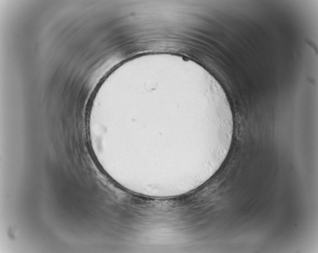 X0000103501087200810101041