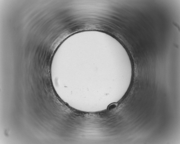 X0000103501089200810101041