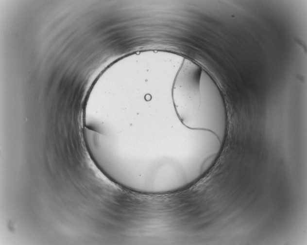 X0000103501092200810101041