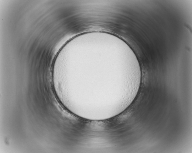 X0000103501094200810101041