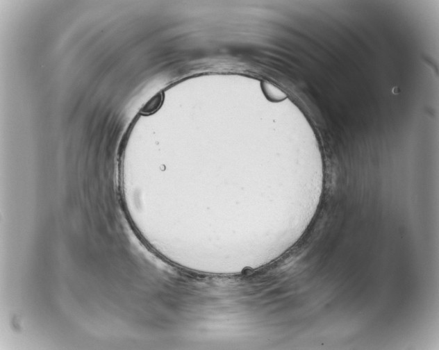 X0000103501095200810101041