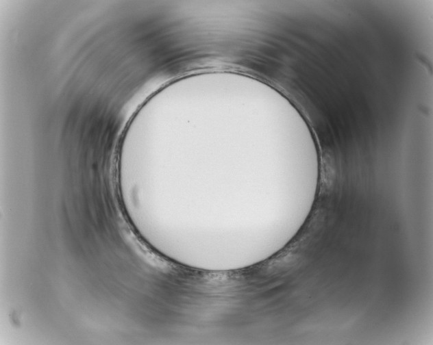 X0000103501098200810101041