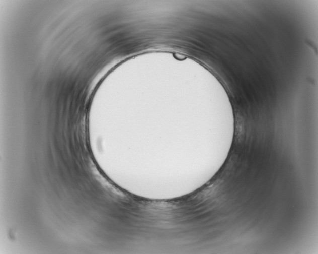 X0000103501100200810101041