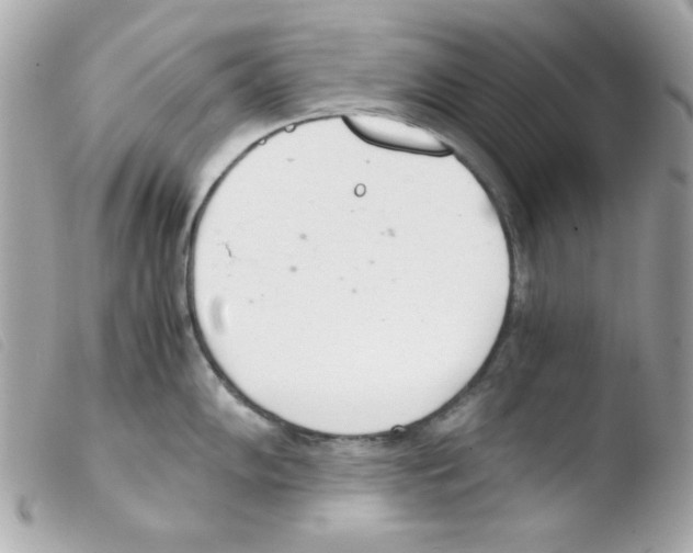 X0000103501102200810101041